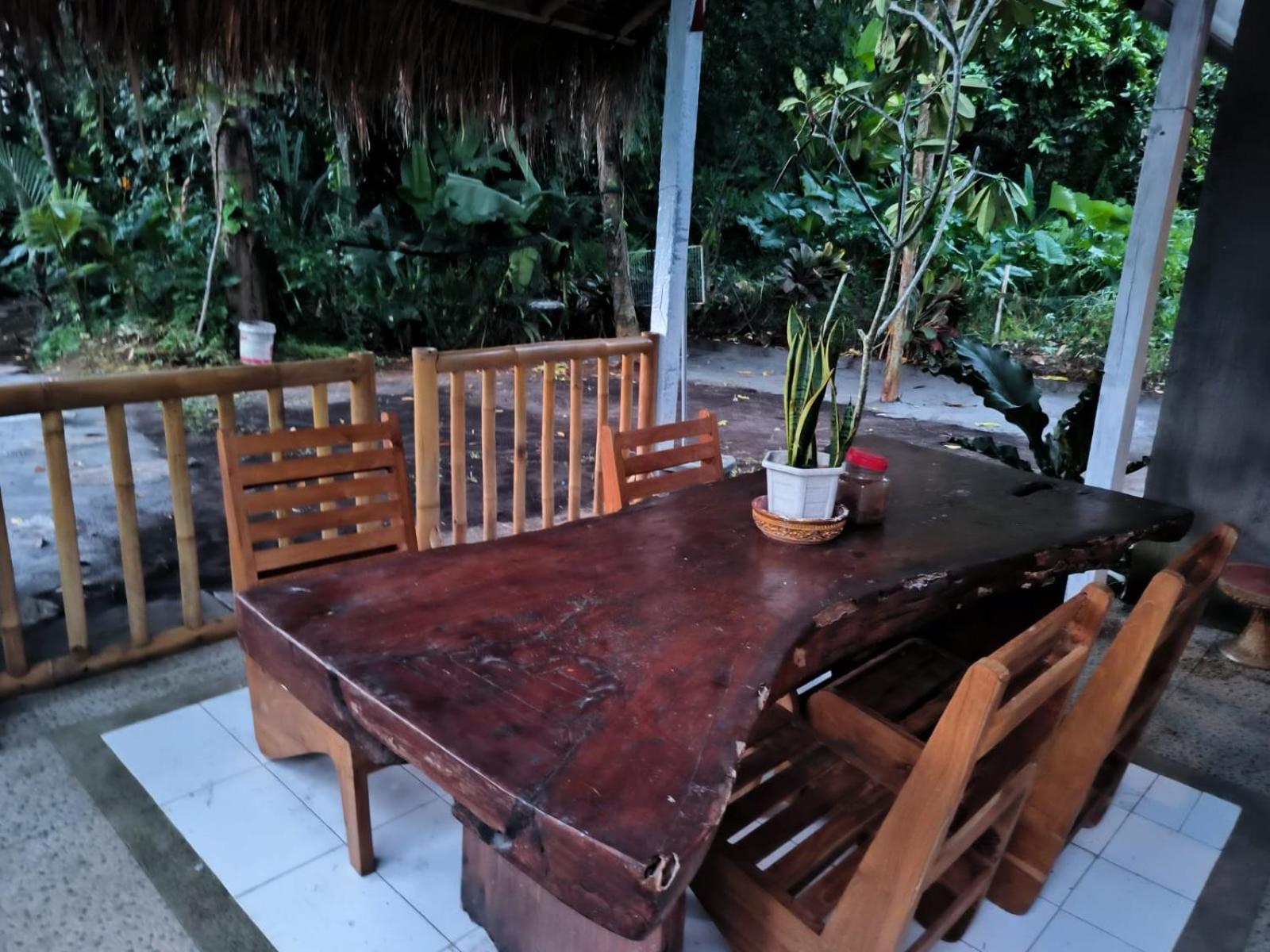 Villa Yoga House Bali Ubud Esterno foto