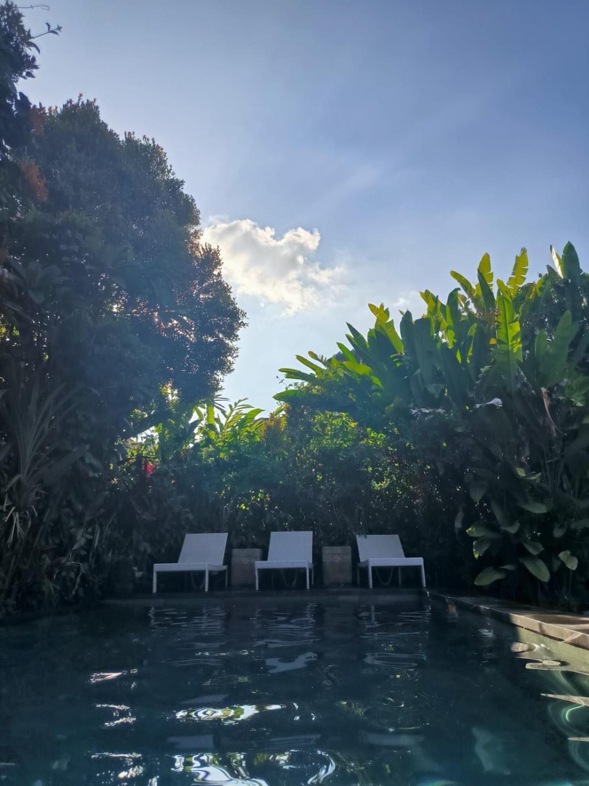 Villa Yoga House Bali Ubud Esterno foto